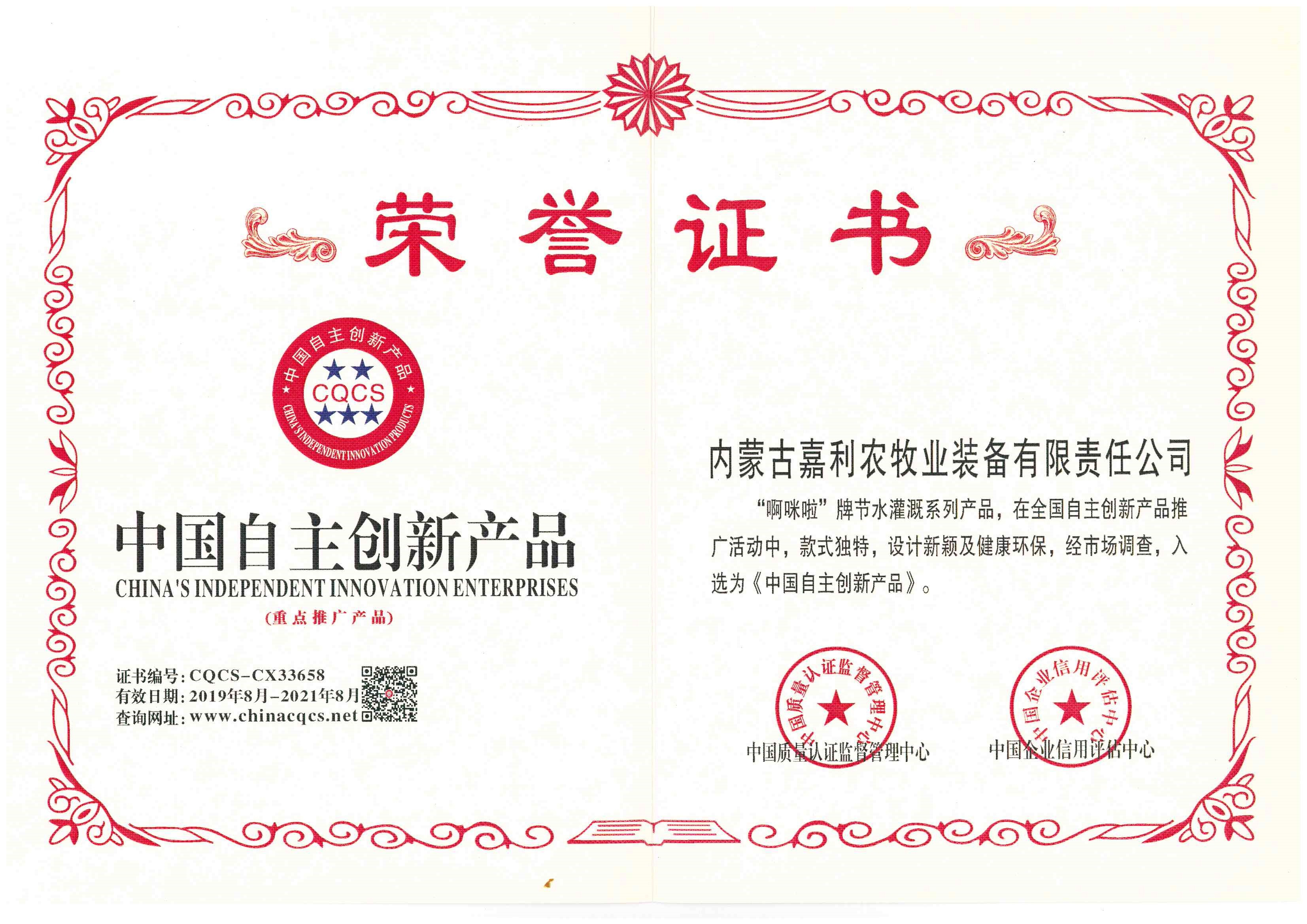 中国自主创新产品